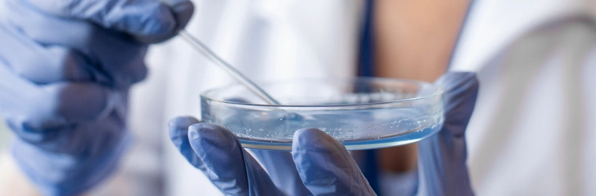 Science banner for homepage